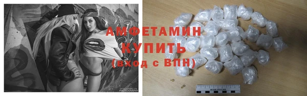 гидра Абаза