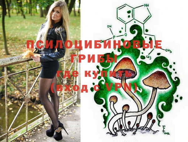 гидра Абаза