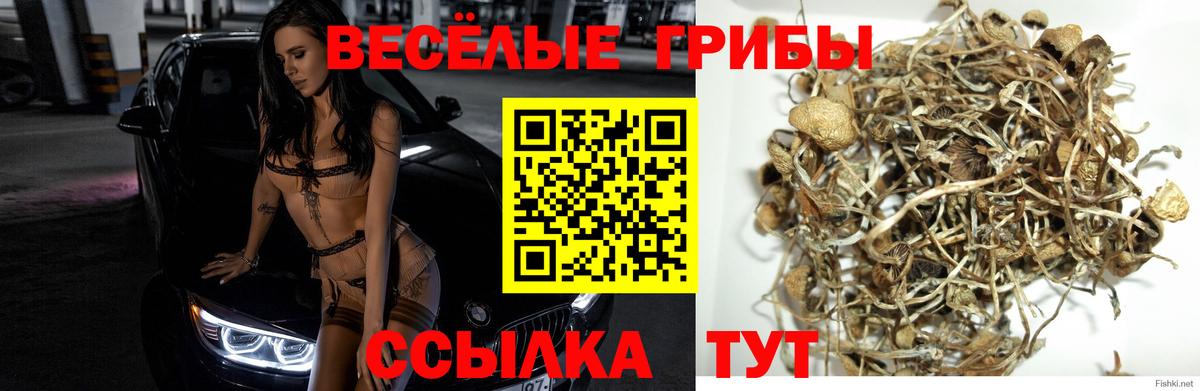Псилоцибиновые грибы Magic Shrooms Муравленко